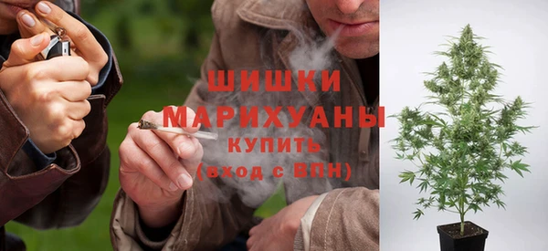 ГАЛЛЮЦИНОГЕННЫЕ ГРИБЫ Володарск