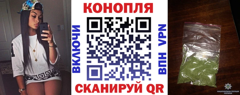 Каннабис планчик  Себеж 